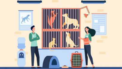 How to Prepare for Pet Ownership